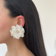 Shell Camellia Studs