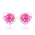 Aerial Camellias Rose
