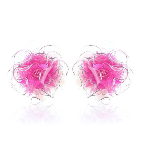Aerial Camellias Rose