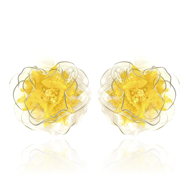Aerial Camellias Lemon